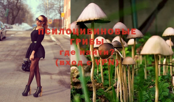 МДПВ Белоозёрский