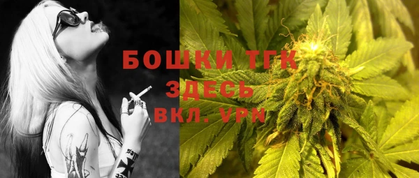 Альфа ПВП Белокуриха