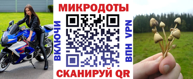 Псилоцибиновые грибы мухоморы  Боровичи 